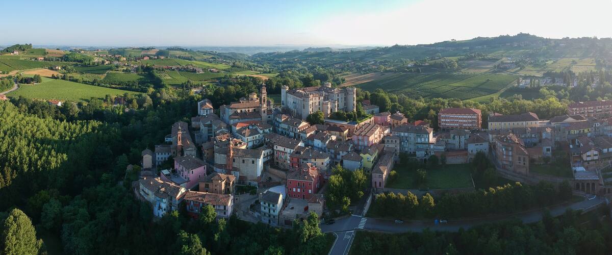 A historic town with a prominent castle, vineyards, and rolling hills in the background.