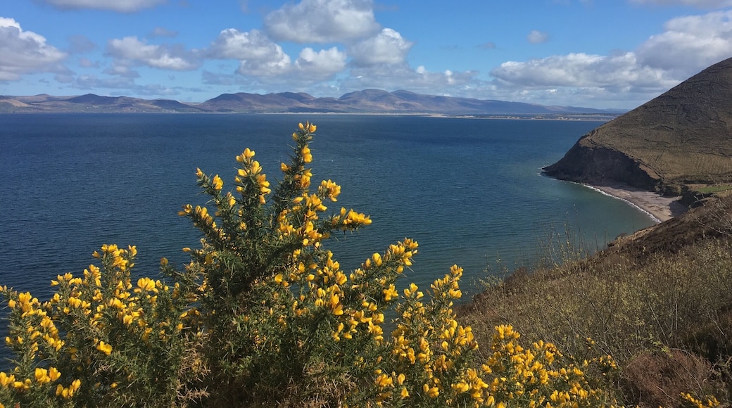 My first time in Ireland!!!
It is soooooo beautiful!!!!!!
đ