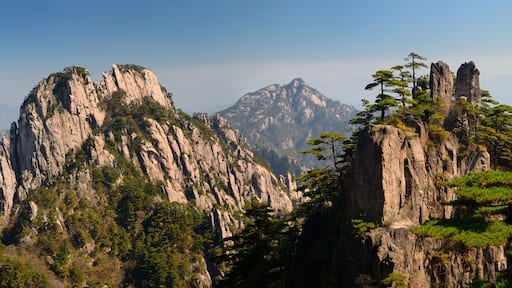 Panorama of Guinyin Peak and Stalagmite Gang at East Sea Yellow mountain Huangshan China