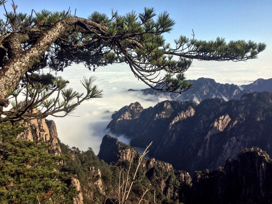 Deep in their roots, all flowers keep the light.
- Theodore Roethke
As, I should imagine, do pine trees, mountains and us. I think we all believe, somewhere deep in our roots, that light is something very special and is a welcome sight whenever it chooses to spend time with us.
On this morning, when it poked its head through the clouds, I stood happily in union with the pine trees, mountains and clouds below thanking the sun for its choice to join us on this day.
#China #Hiking