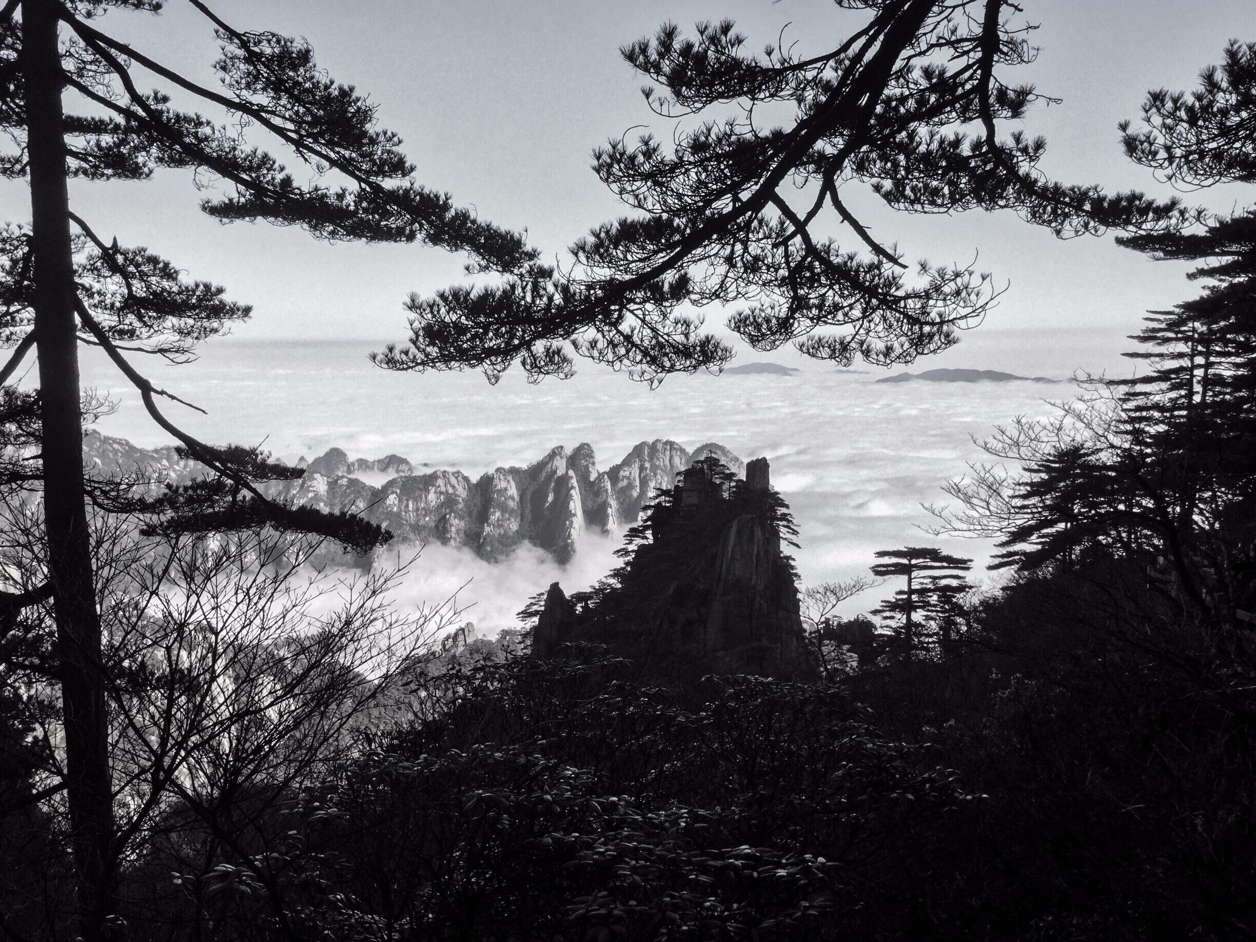 A mountainous landscape with prominent rock formations and dense pine trees.