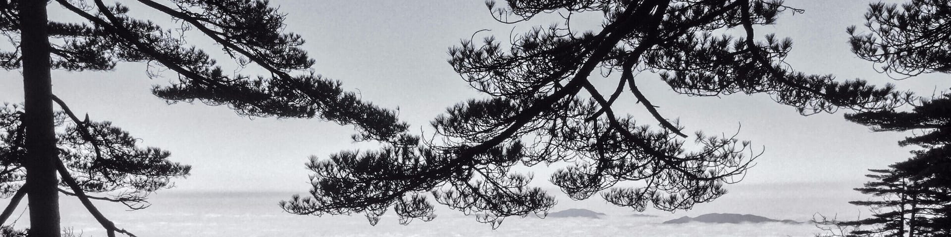 A mountainous landscape with prominent rock formations and dense pine trees.