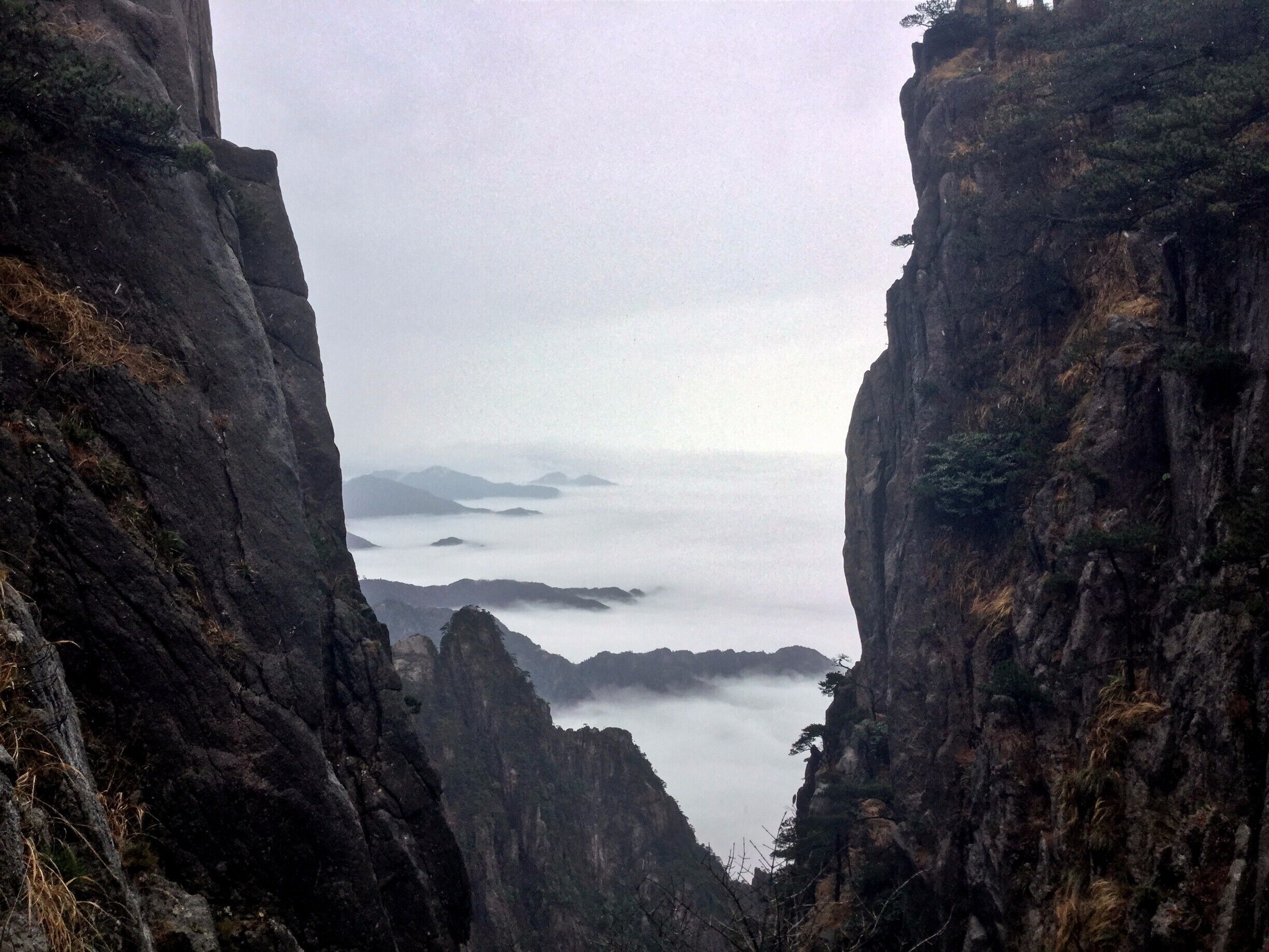 Alone I stand on the mountain top
While the clouds gather beneath me.

- Qu Yuan

Well, not alone.  Actually, behind me are hundreds if not thousands of tourists scrambling up the mountain, quite often accompanied by a squealing banshee in the form of a guide.  Regardless, the feeling of poets and painters from days of old continues to fill my being...and, I like it very much.

#China #Hiking