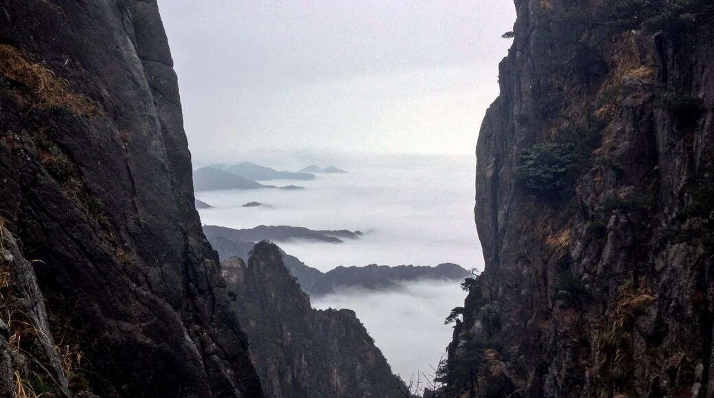 Alone I stand on the mountain top
While the clouds gather beneath me.
- Qu Yuan
Well, not alone. Actually, behind me are hundreds if not thousands of tourists scrambling up the mountain, quite often accompanied by a squealing banshee in the form of a guide. Regardless, the feeling of poets and painters from days of old continues to fill my being...and, I like it very much.
#China #Hiking