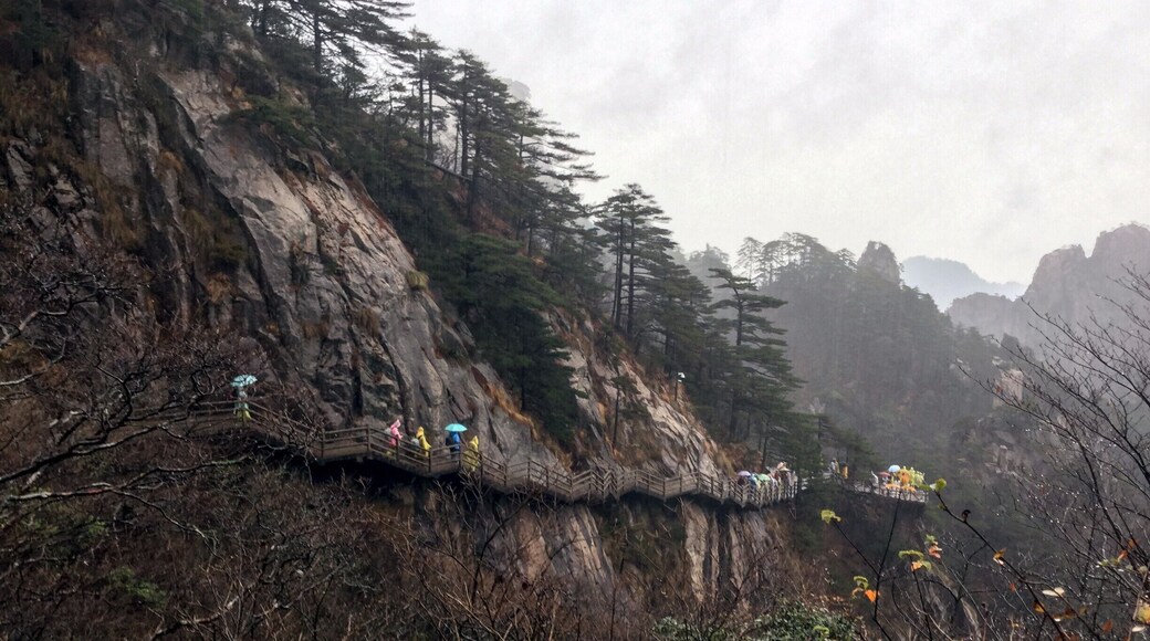 “Seeking what is true is not seeking what is desirable.”
― Albert Camus,
It was raining, the crowds were only just starting to reach the mountain and the fact that we hadn't really planned anything for the day's hike was growing roots in my sea of existential angst. Yet, the brisk autumn air and the potential for great views held out its hand like a flowering promise whispering that this was going to be a great day.
#China