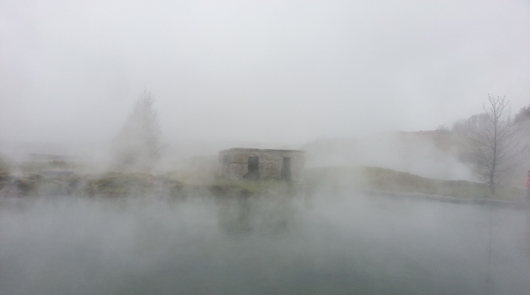 Take a dip in the warm geothermal water of one of Iceland's oldest swimming pool. Geothermal water directly from the hot spring.
#LifeAtExpedia