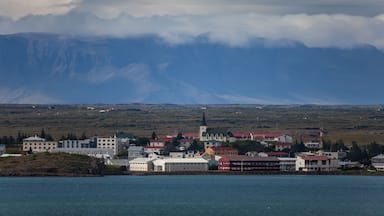 Borgarbyggð