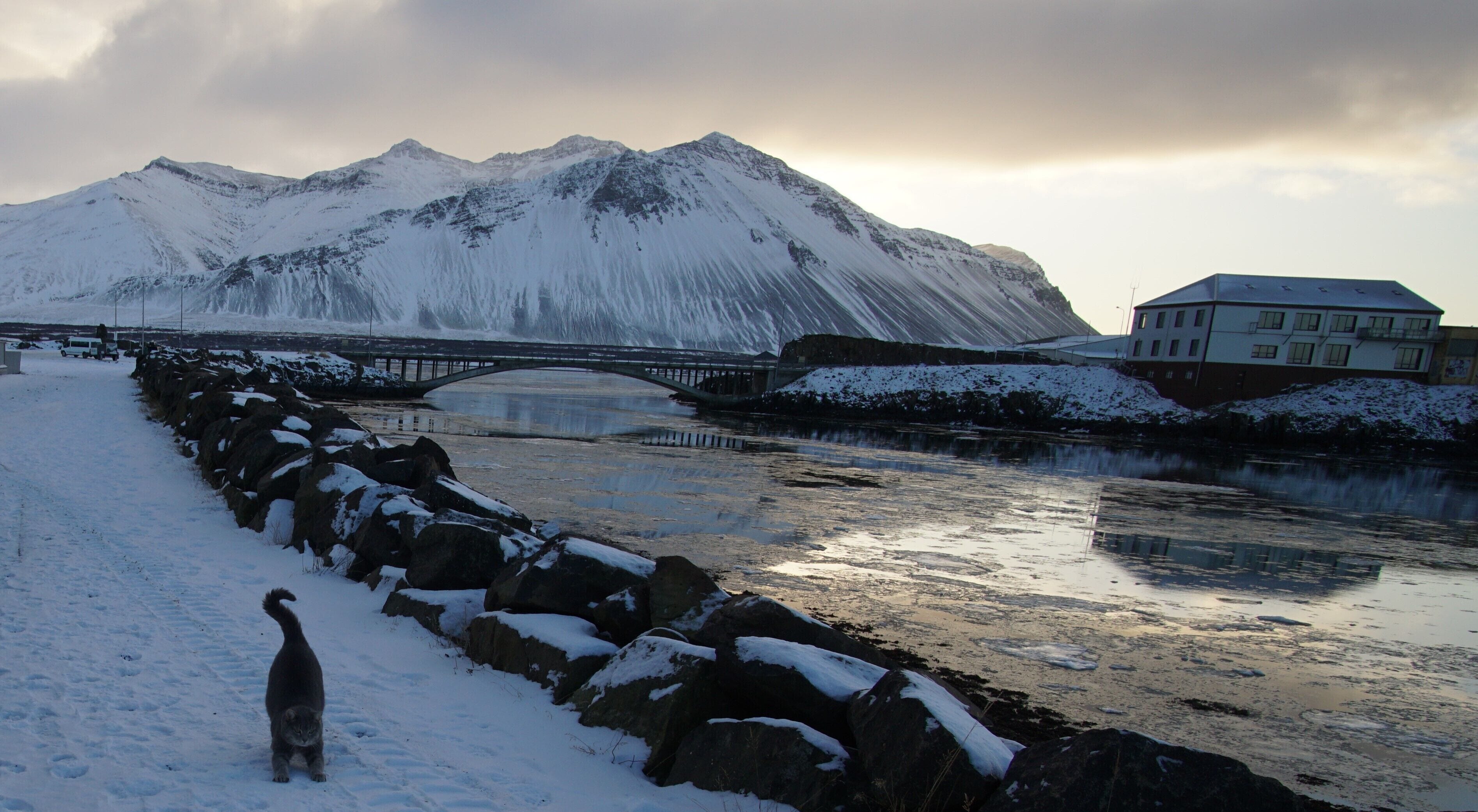 Borgarbyggð, Iceland is a small village to the west of Reykjavik, Iceland. The journey to get there was so beautiful. You pass by huge mountains, tunnels and lakes. Then we found this beautiful fat cat who seemed to be enjoying the sub-zero temperatures. Highly recommend if you like nature. 

#LifeAtExpedia #wildlife