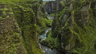 Ein Fluss fließt durch eine Schlucht mit grünen, moosbewachsenen Felswänden.
