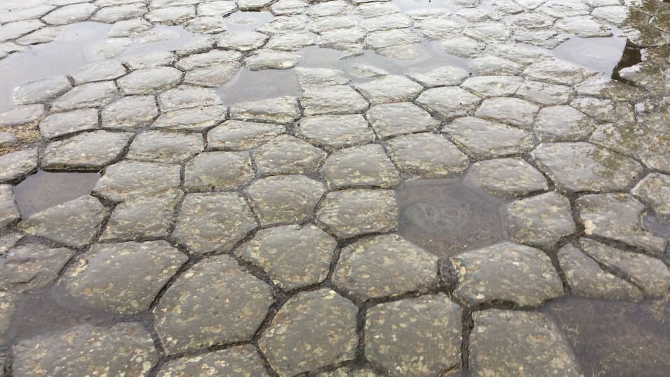A hexagonal stone pavement with puddles of water.