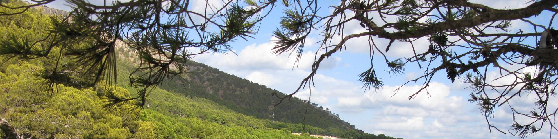 Пляж Форментор