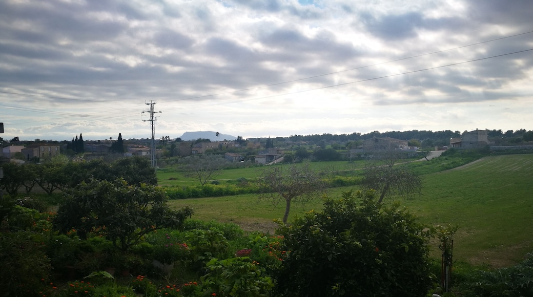 paisatge des del carrer major de Lloret de Vistalegre