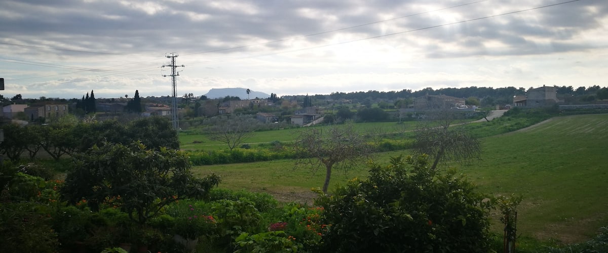 A rural landscape with green fields, scattered houses, and a cloudy sky.