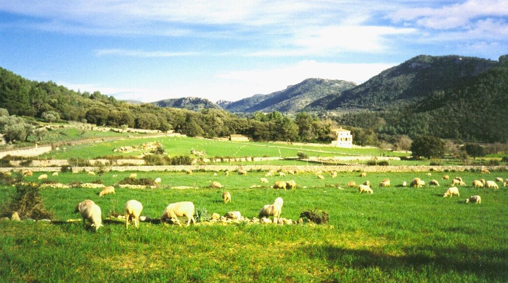 MALLORCA RURAL