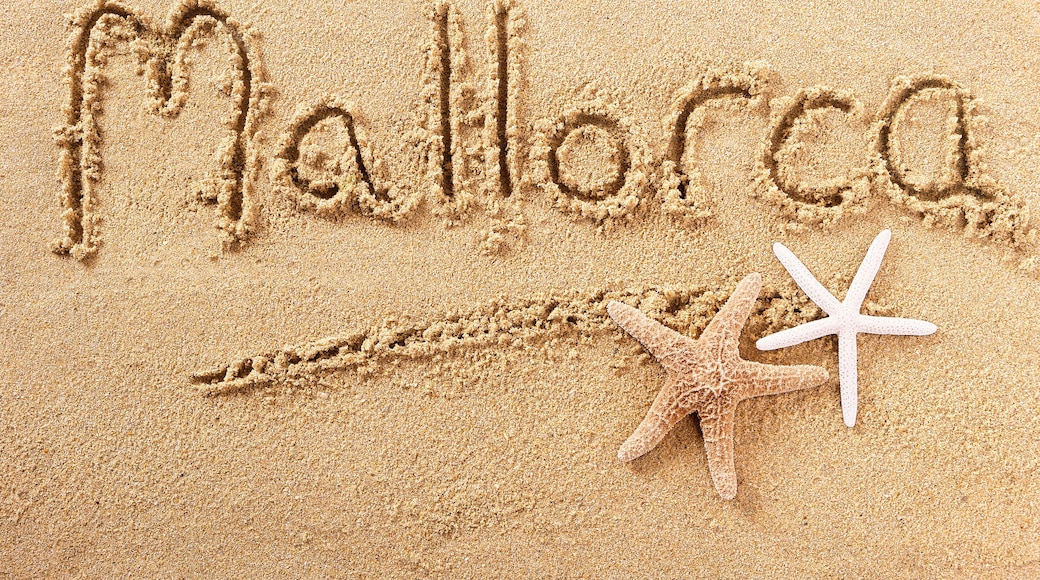 Mallorca majorca word written in sand on a sunny spanish summer beach with starfish holiday vacation travel destination sign writing message photo