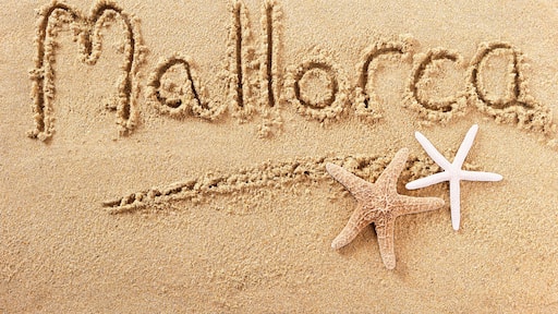 Mallorca majorca word written in sand on a sunny spanish summer beach with starfish holiday vacation travel destination sign writing message photo