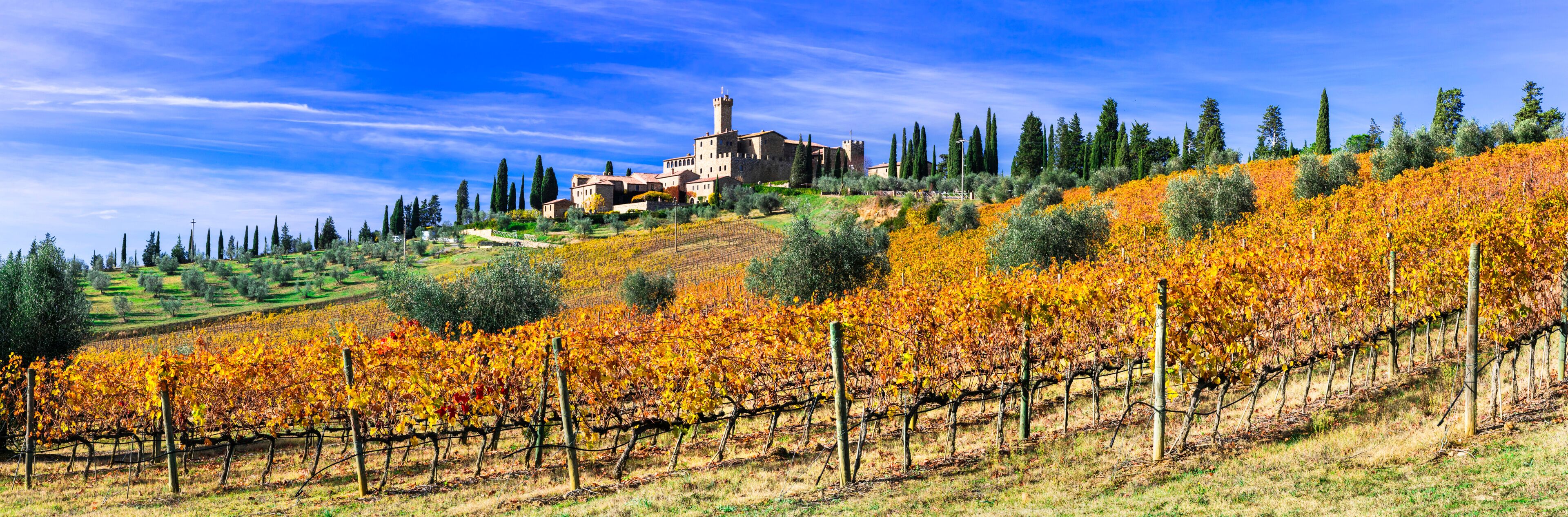 Castello Banfi Montalcino 12K Panorama: Golden Vineyards and Medieval Castle, Luxury Wine Tourism in Tuscany Italy, Chianti Brunello Region, Authentic Agriturism, Ultra High Resolution