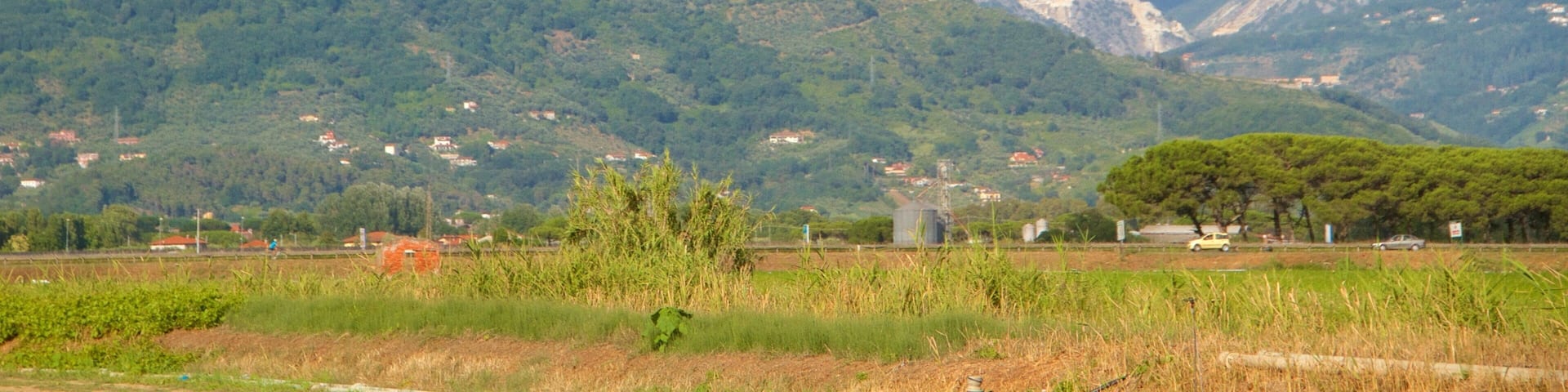 馬薩卡拉拉 其中包括 山, 寧靜風景 和 薄霧或有霧氣