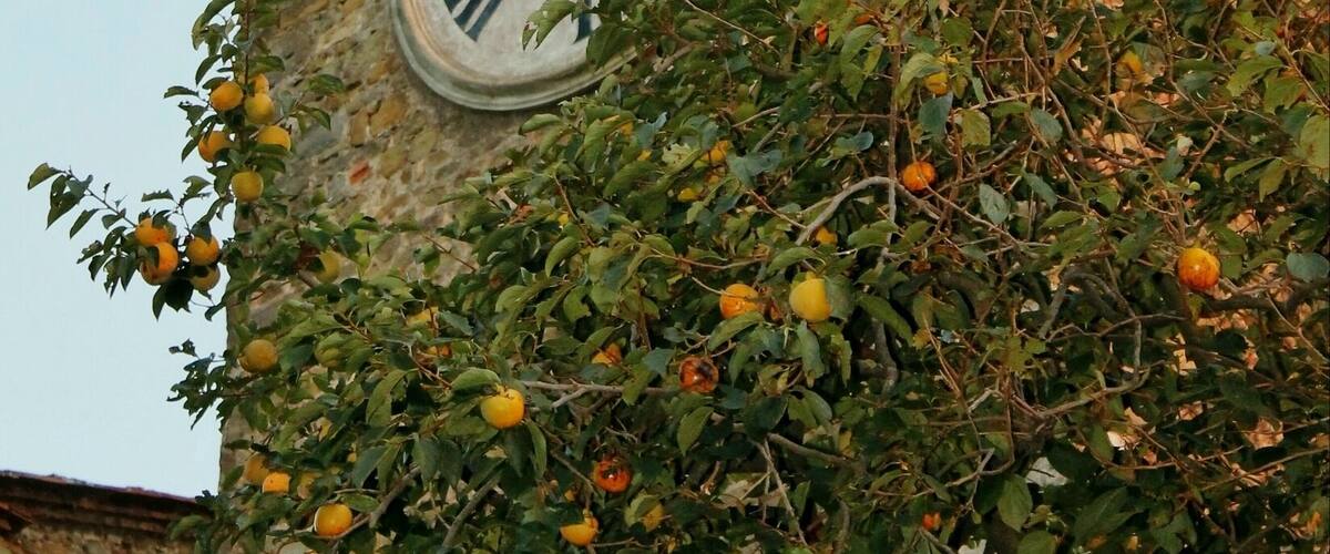 Old ClockTower in Montecatini Alto
#InStone