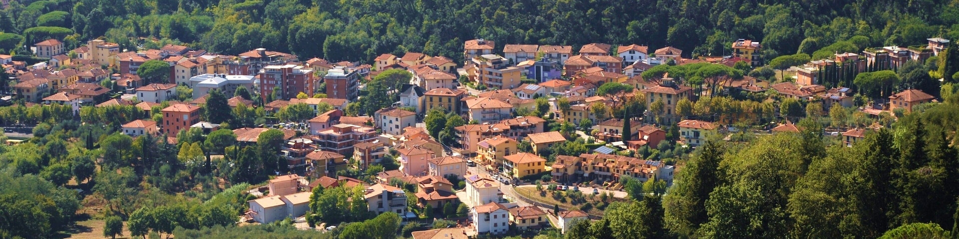 A hillside town with red-roofed buildings and dense green trees.
