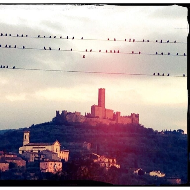 The Castle of Montecchio Vesponi is a walled, castle with turrets and battlements, which occupies the top of a hill (Montecchio), overlooking the Val di Chiana, named and drawn on a well-documented survey map by Leonardo da Vinci in 1503. 
Many cultural events have taken place within its walls, including art exhibitions (the last being one of works of Manzù), concerts, folklore festivals, re- enactments and events in the local dialect. Famous visitors to the Castle have included the late  Queen Elizabeth, The Queen Mother (of England) who came to learn Documentary Moviesmore about the castle and  the area and owned in  1384 by another Englishman, Sir John Hawkwood (known in Italian as Giovanni Acuto). Hawkwood appears in the world famous fresco by Paolo Uccello in the Cathedral of Santa Maria del Fiore, The Duomo of Florence. 
#Tuscany #Castle #Montecchio #Vesponi #Valdichiana #Castiglion Fiorentino
