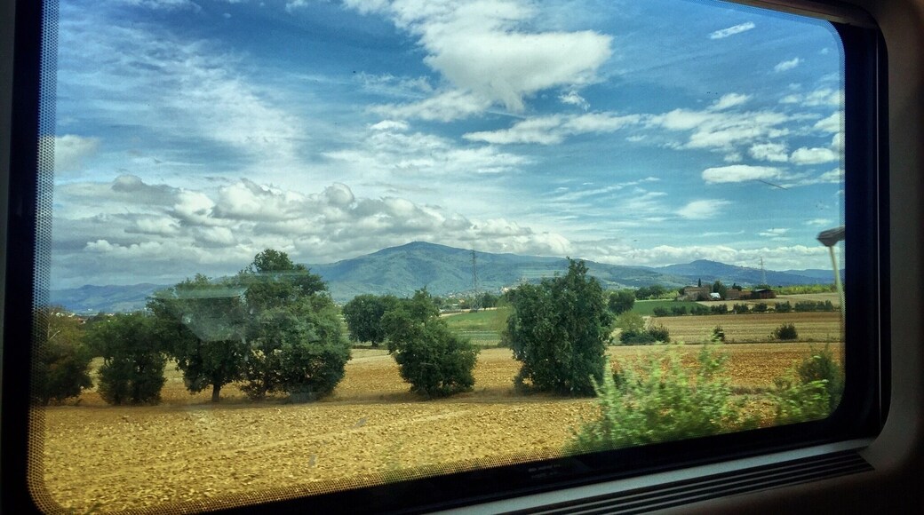 Looking out the window on a fast train ride to Florence from Rome...