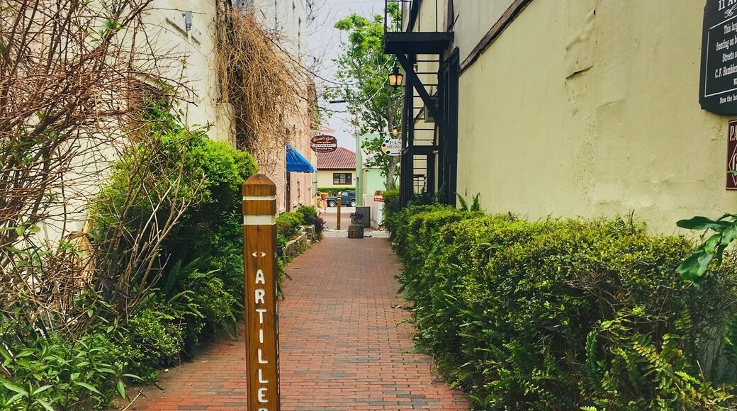 Most beautiful place in Florida!!! #oldestcity #stagustineFL #history #treasure #amazingbeauty