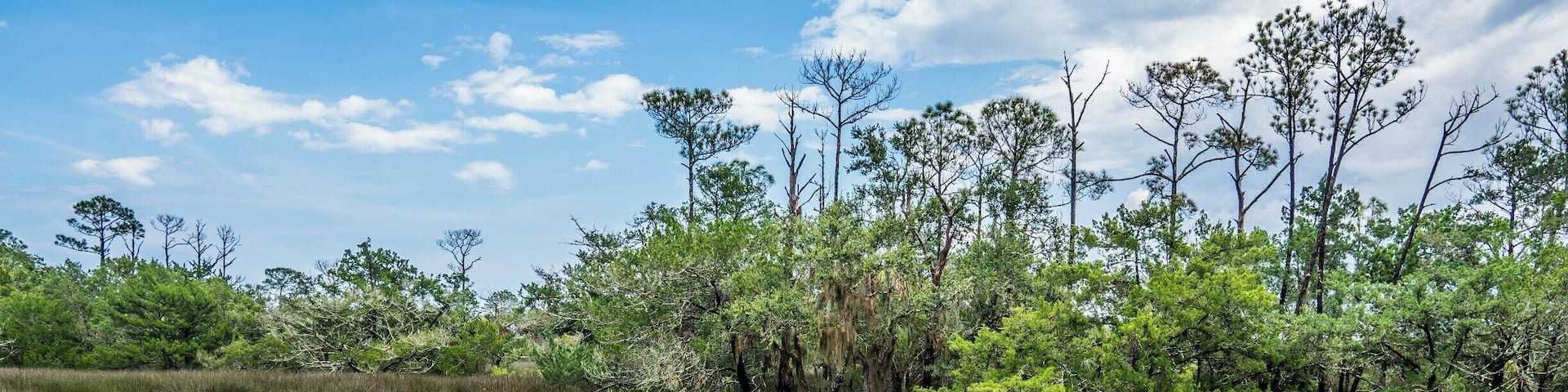 Day 1 of my road trip across the USA brought me to my favorite city in Florida, St. Augustine; the oldest city in the country, and easily one of the most beautiful.
👇🏽
I snapped this shot at Fort Mose Historic State Park. This incredible site is a U.S. National Historic Landmark, and the rich history of this place is something that every school should be teaching our youth. 👇🏽
Hidden away in the marshes of St. Augustine is one of the most important sites in American history: the first free community of ex-slaves, founded in 1738 and called Gracia Real de Santa Teresa de Mose or Fort Mose (pronounced Moh-Say). Fort Mose played an extremely important role in the development of colonial North America.
👇🏽
As early as 1687, the Spanish government had begun to offer asylum to slaves who managed to escape from British colonies (the first Underground Railroad ran SOUTH to Florida from the colonies!). In 1693, the Spanish Crown officially proclaimed that runaways would find freedom in Florida, in return for converting to Catholicism and a term for men of four years' military service to the Crown. In effect, Spain created a maroon settlement in Florida as a front-line defense against English attacks from the north. Spain also intended to destabilize the plantation economy of the British colonies by creating a free black community to attract slaves seeking escape and refuge from British slavery.
👇🏽
Fort Mose was the first free African settlement legally sanctioned in what would become the United States and had a total population of about 100. The village had a wall around it, with dwellings inside, plus a church and an earthen fort.
👇🏽
The history of Fort Mose is far deeper, and far more interesting then I can convey on @Instagram so please do your own reading on it and learn more about the very earliest history of what is now the United States.