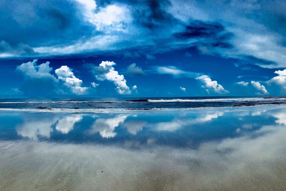 A beach with a calm sea, a clear sky, and a single bird on the sand.
