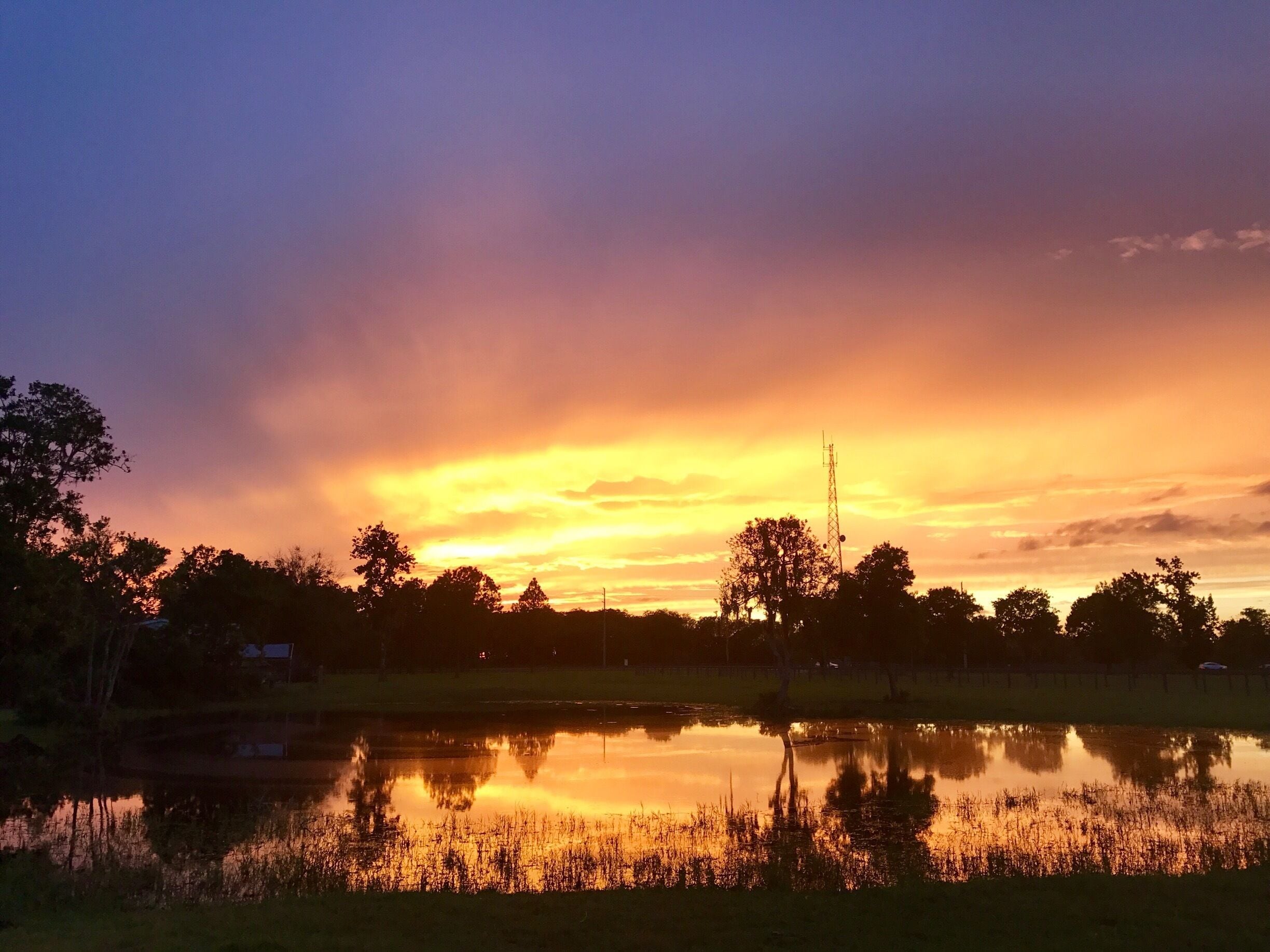 My backyard...pre-hurricane Irma 🌪
