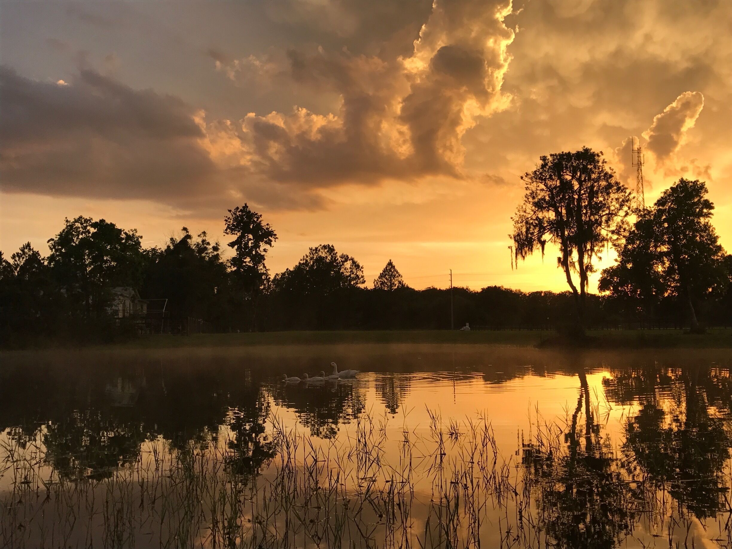 The view from my kitchen, not too shabby tonight...🌅