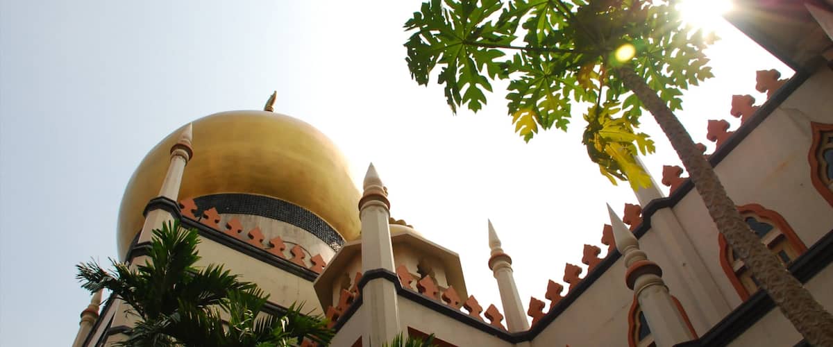 Arab Street District showing religious elements, a mosque and heritage architecture