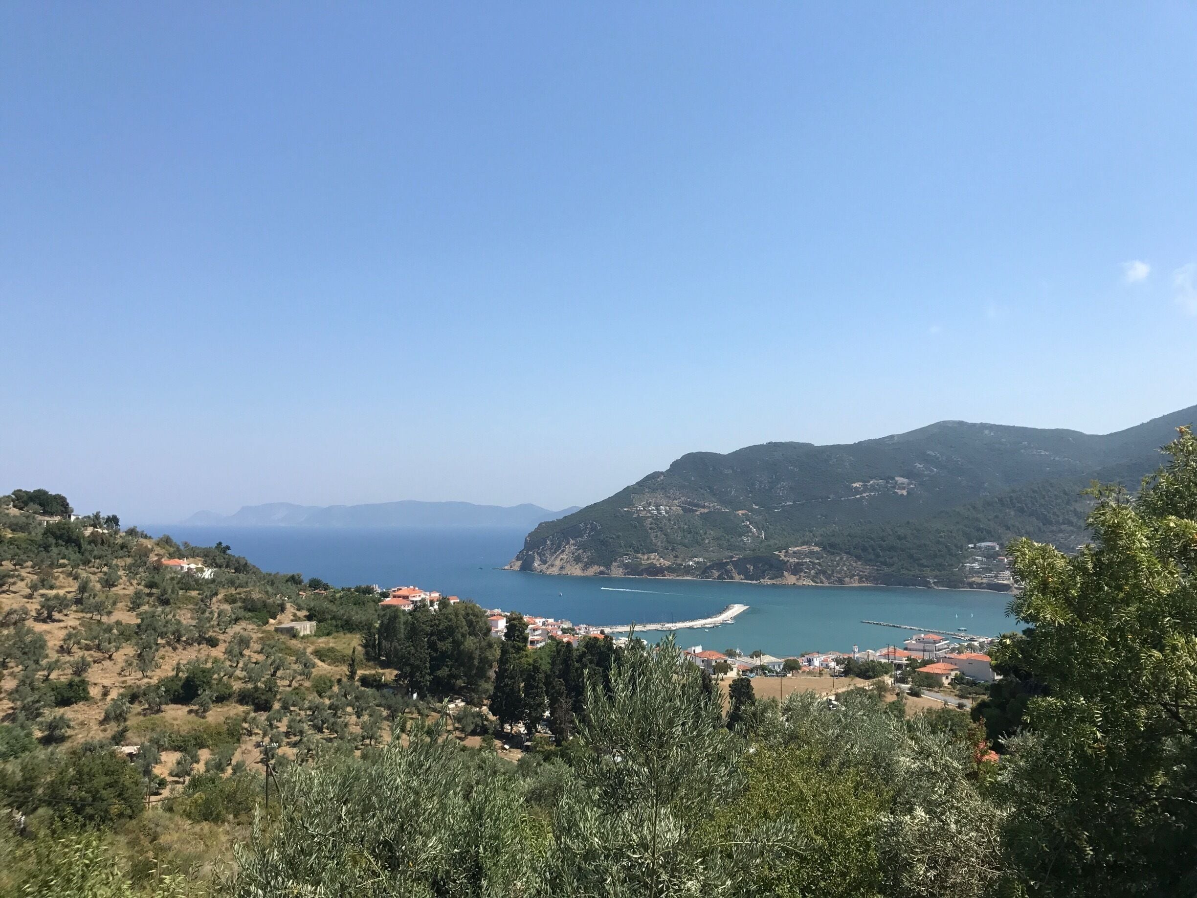 Looking out of Skopelos harbour