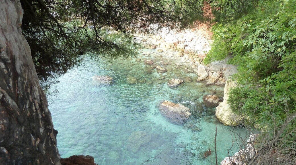 Beautiful clear water!