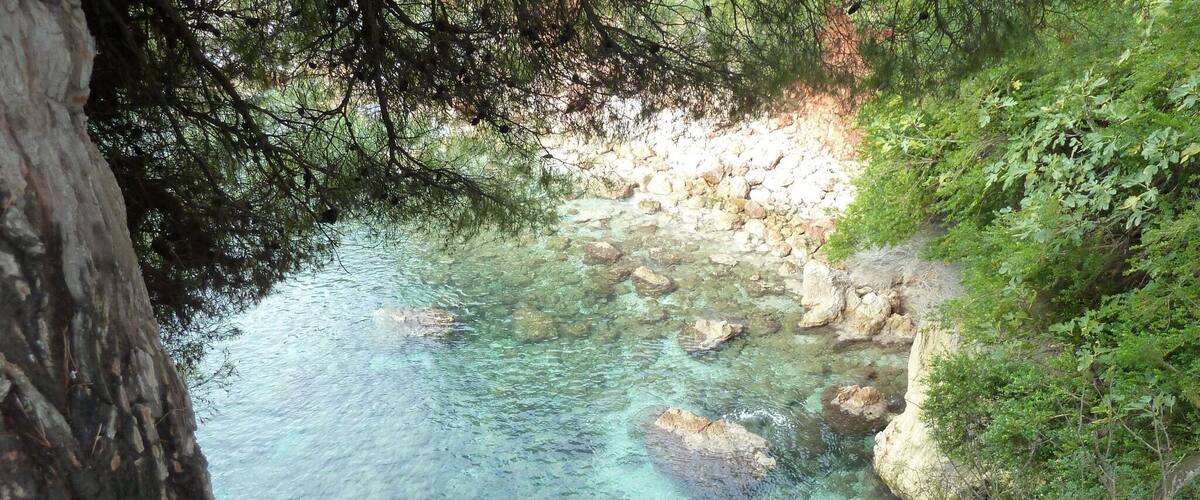 Beautiful clear water!