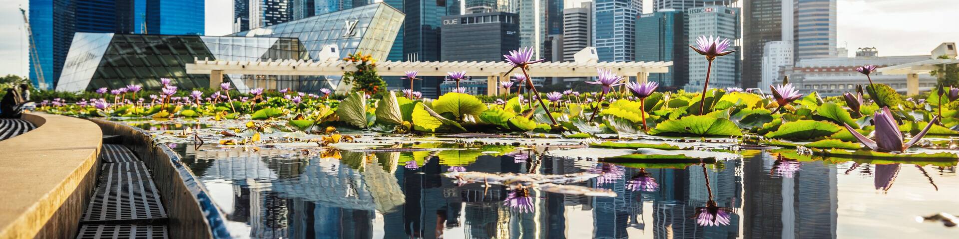 Singapore skyline and financial district