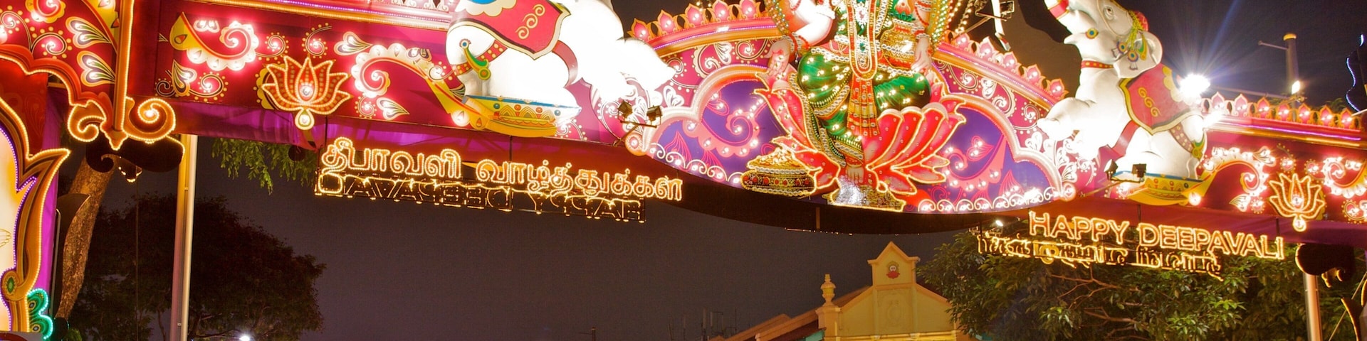 Little India featuring a city, street scenes and night scenes