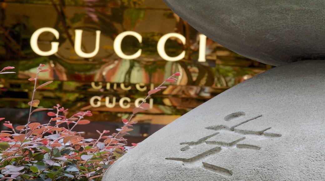 Orchard Road featuring signage and shopping