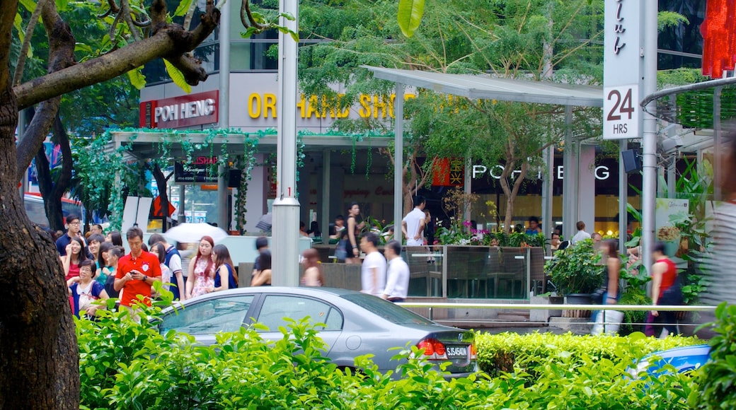 Singapore which includes street scenes and a city