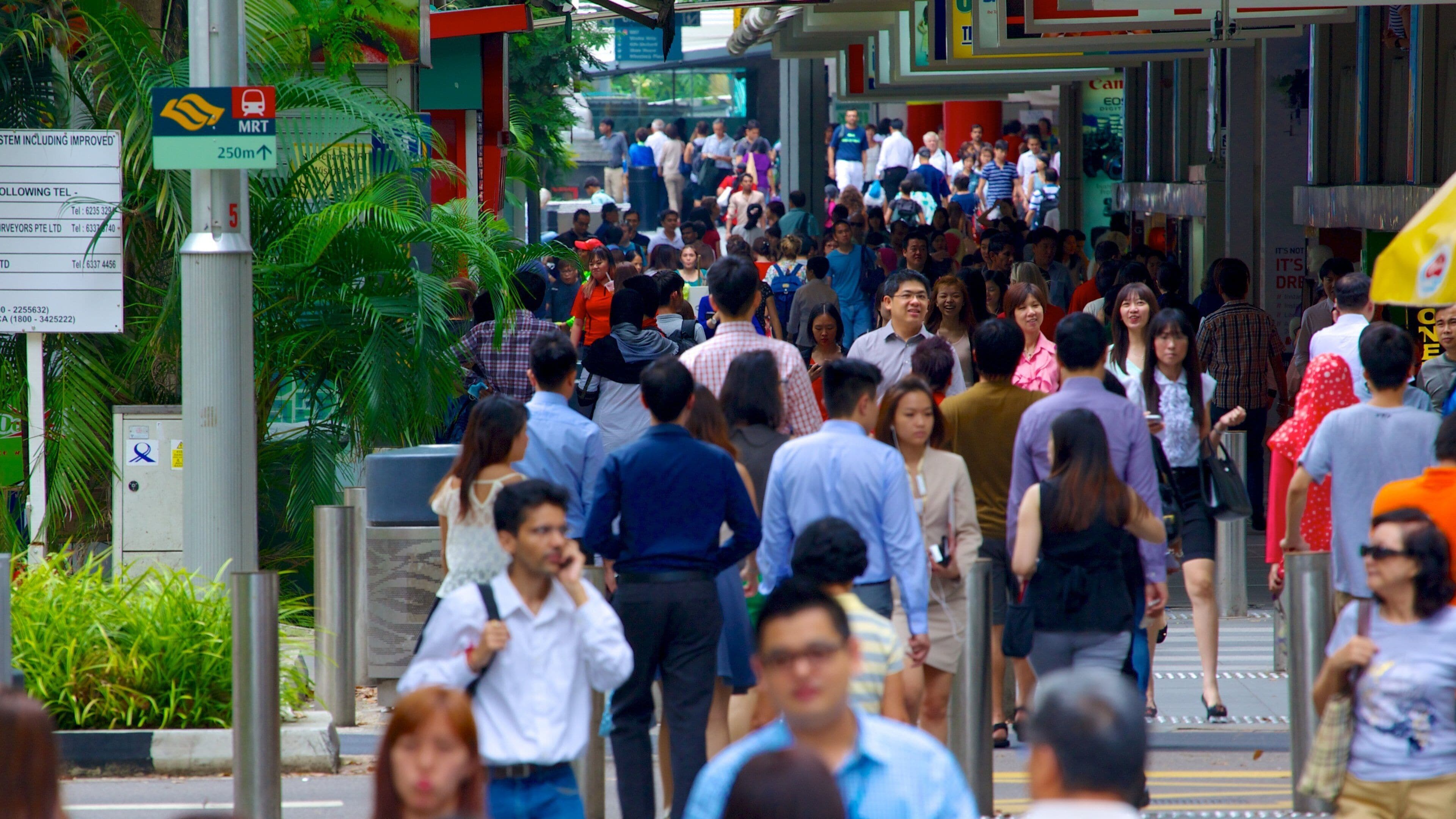 Singapur mostrando escenas cotidianas y una ciudad y también un grupo grande de personas