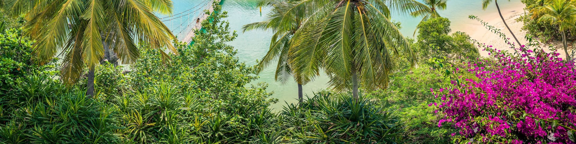 A tropical beach with palm trees, clear blue water, and a sandy shore.