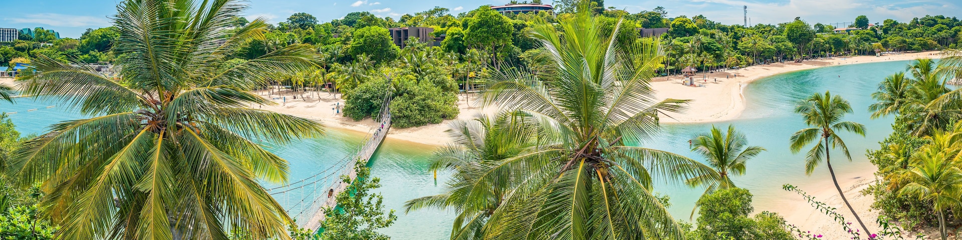 Una playa tropical con palmeras, agua azul cristalina y una orilla de arena.