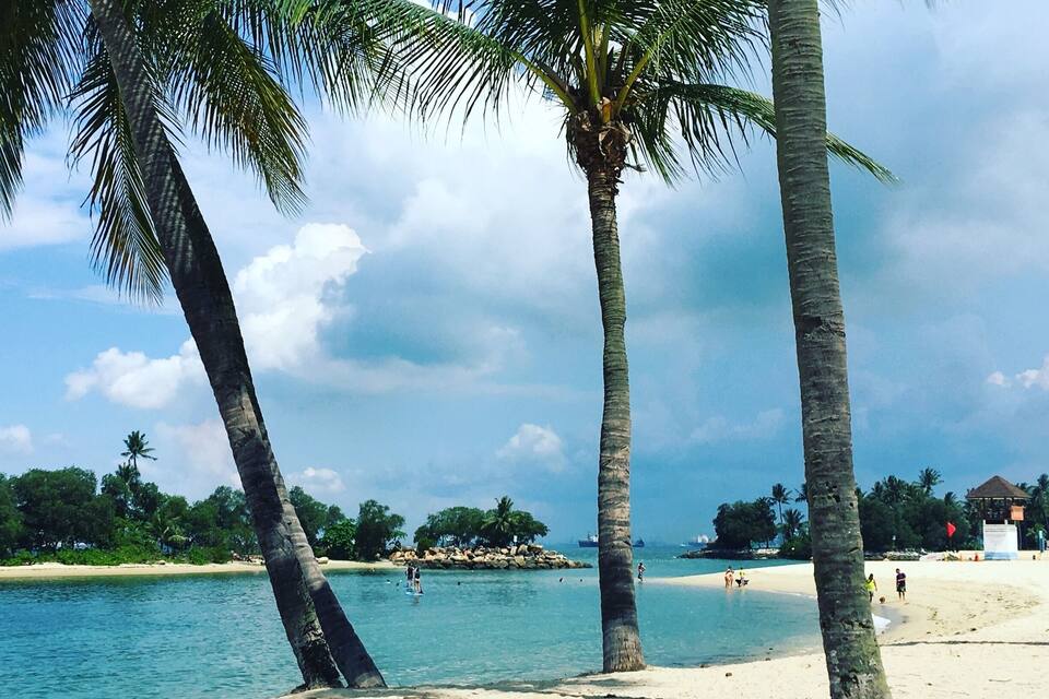 A beach with palm trees, clear blue water, and a sandy shore.