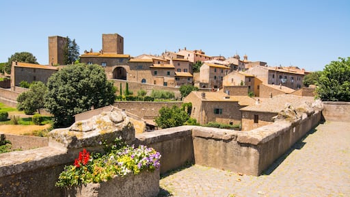Tuscania
