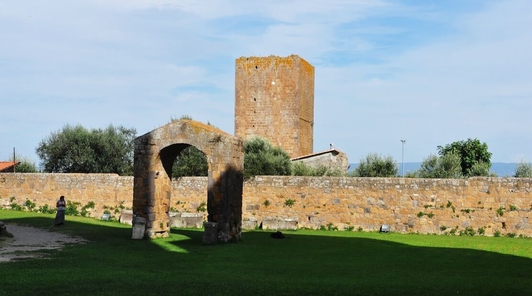 Tuscania -Basilica di San Pietro- 2014