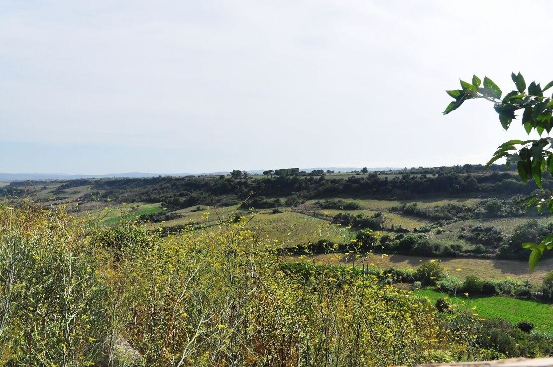 Tuscania -Basilica di San Pietro- 2014