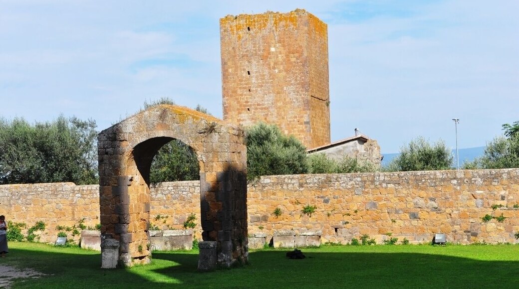 Tuscania -Basilica di San Pietro- 2014