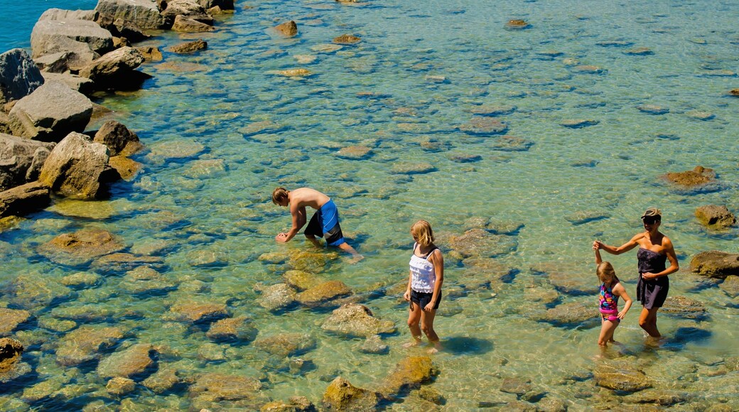 Space Coast mostrando costa rocosa y vistas generales de la costa y también una familia