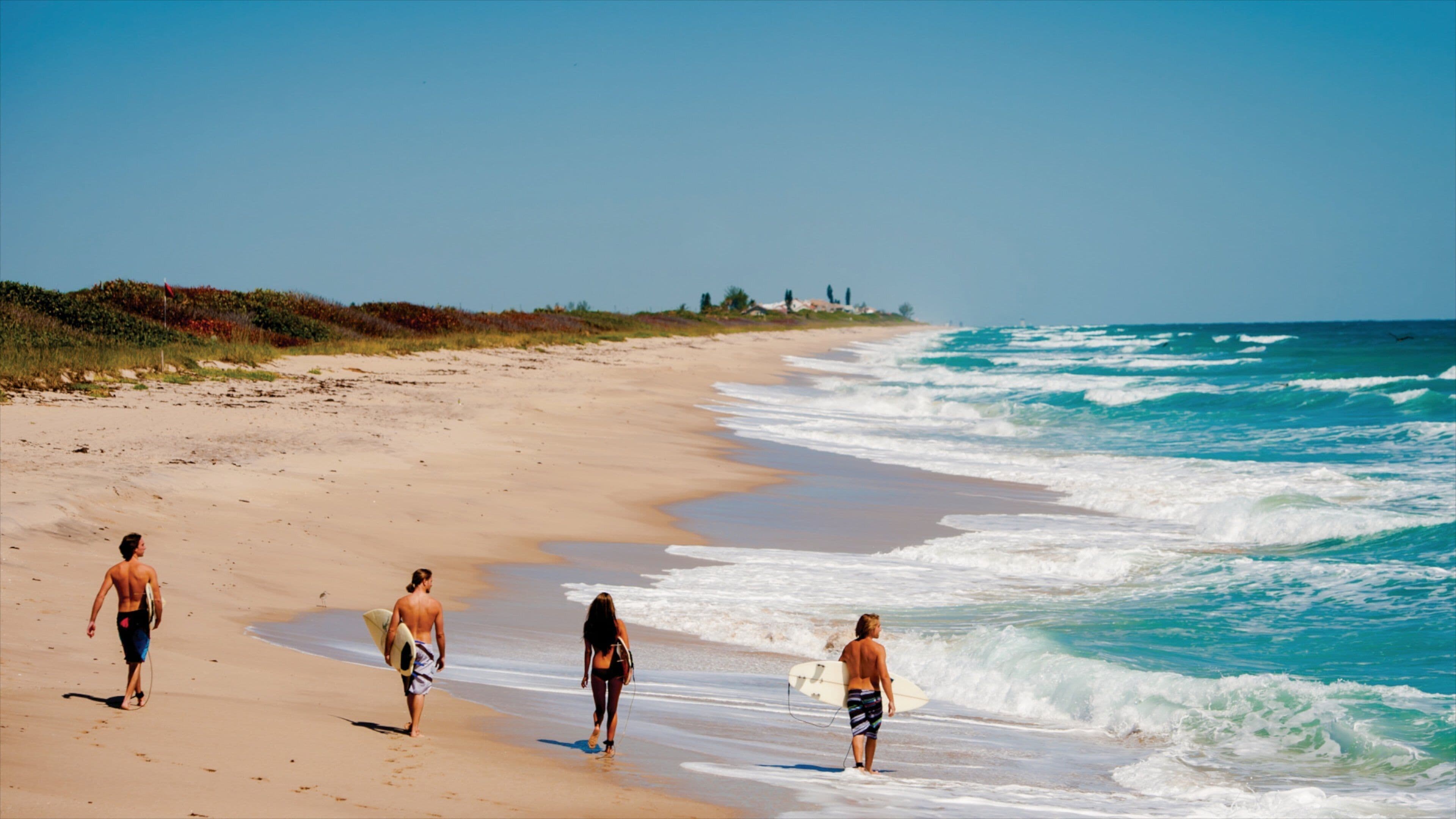 Space Coast som inkluderer landskap, surfing og strand