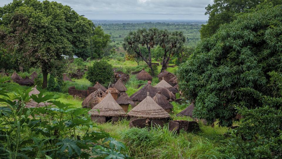 A rural landscape with thatched-roof huts surrounded by lush greenery and trees.